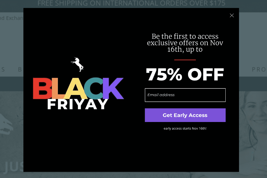 A Black Friday marketing campaign by Wodbottom offering a 75% off coupon. There is a black background with the logo t the left and a signup form to the early access sale on the right.